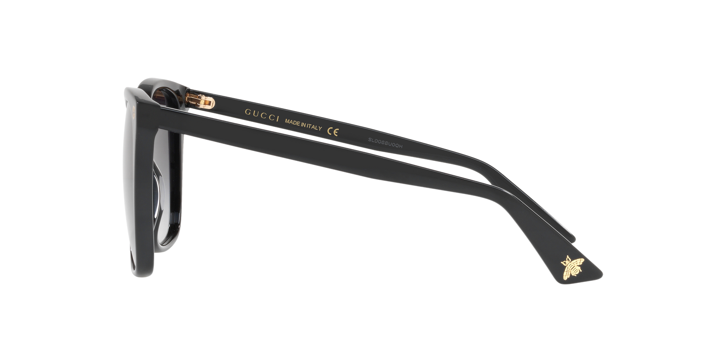 Gucci GG0022S Cat Eye Sunglasses