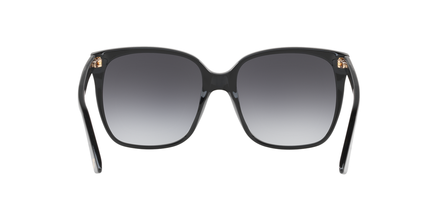 Gucci GG0022S Cat Eye Sunglasses