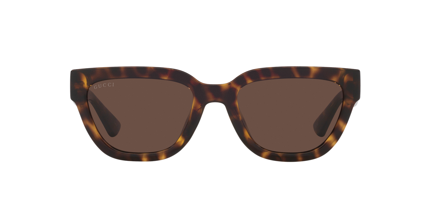 Gucci GG1578S Cat Eye Sunglasses - Tortoise