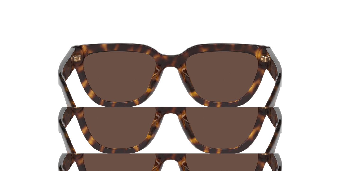 Gucci GG1578S Cat Eye Sunglasses - Tortoise