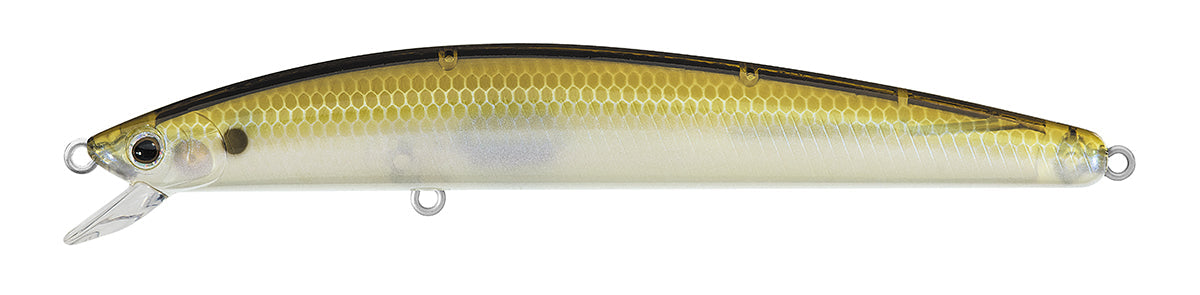 TD MINNOW